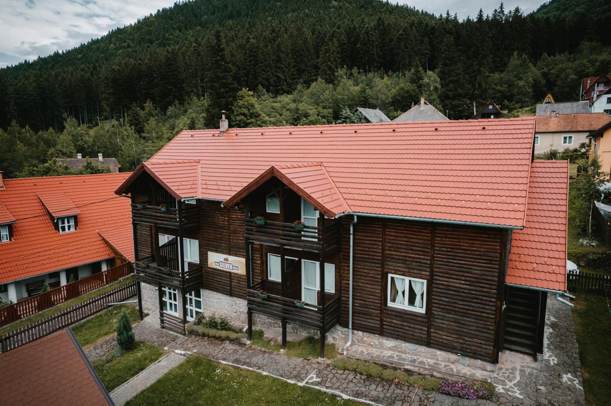 Silver Villa Бъйле Тушнад Екстериор снимка